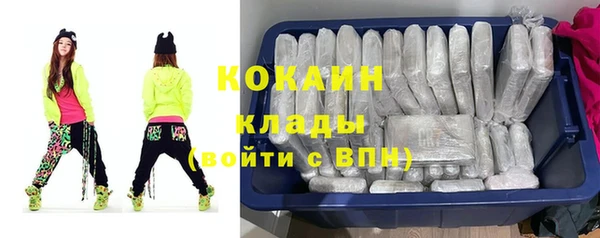 тгк Горняк