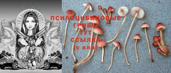 таблы Горно-Алтайск