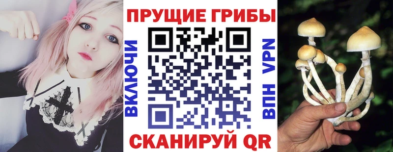 Псилоцибиновые грибы GOLDEN TEACHER  Реж 